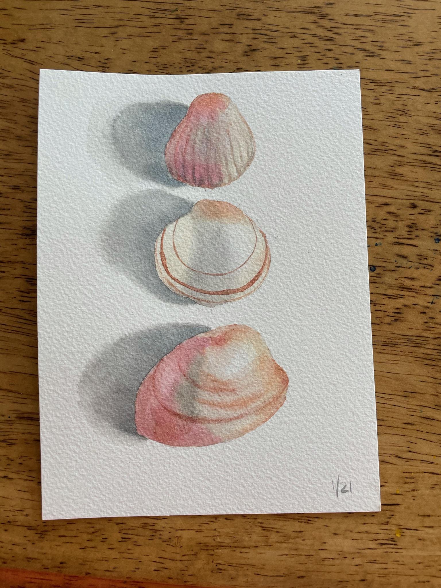 Shells - image 1 - student project