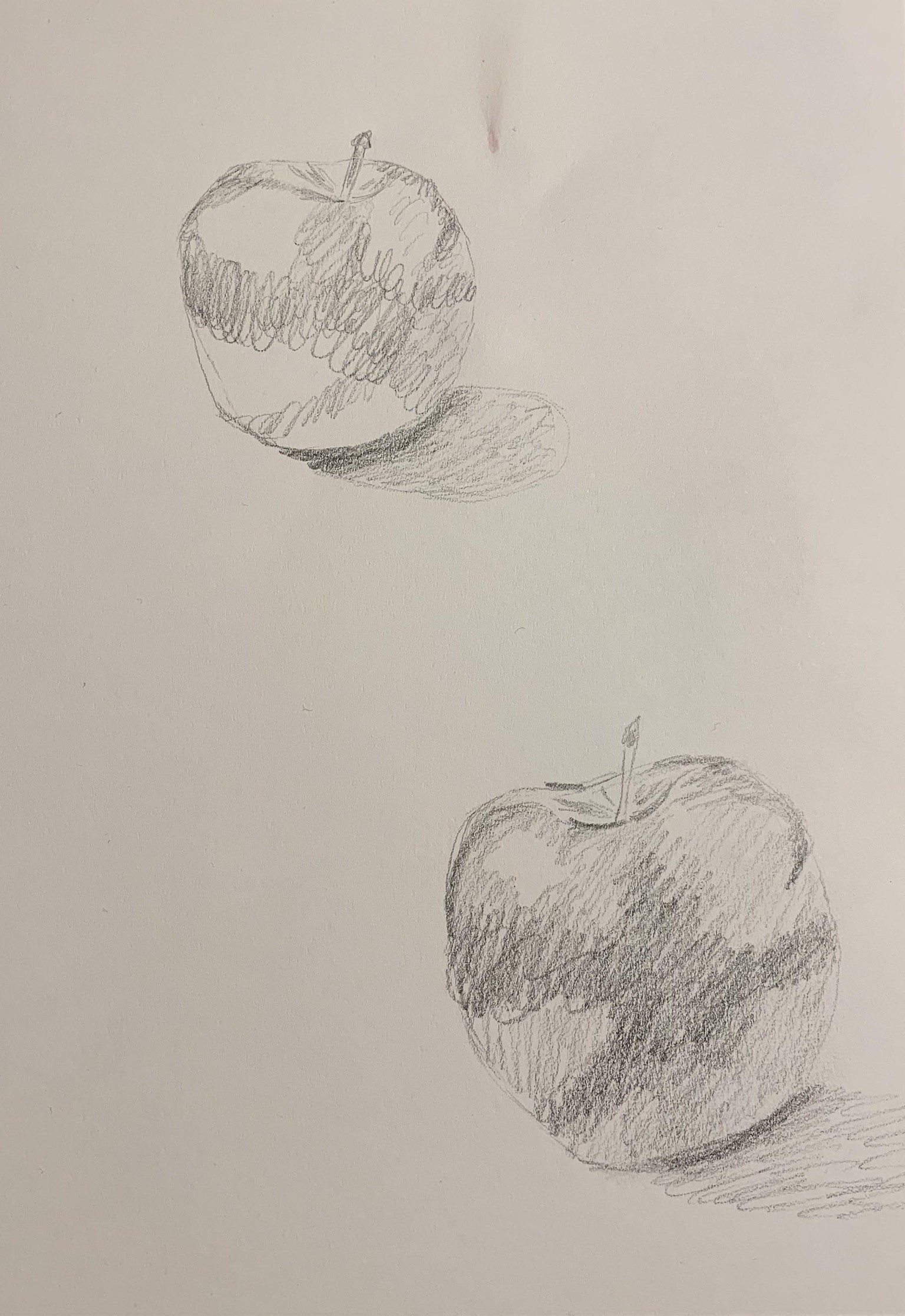 Creating Realistic Color Project - image 1 - student project