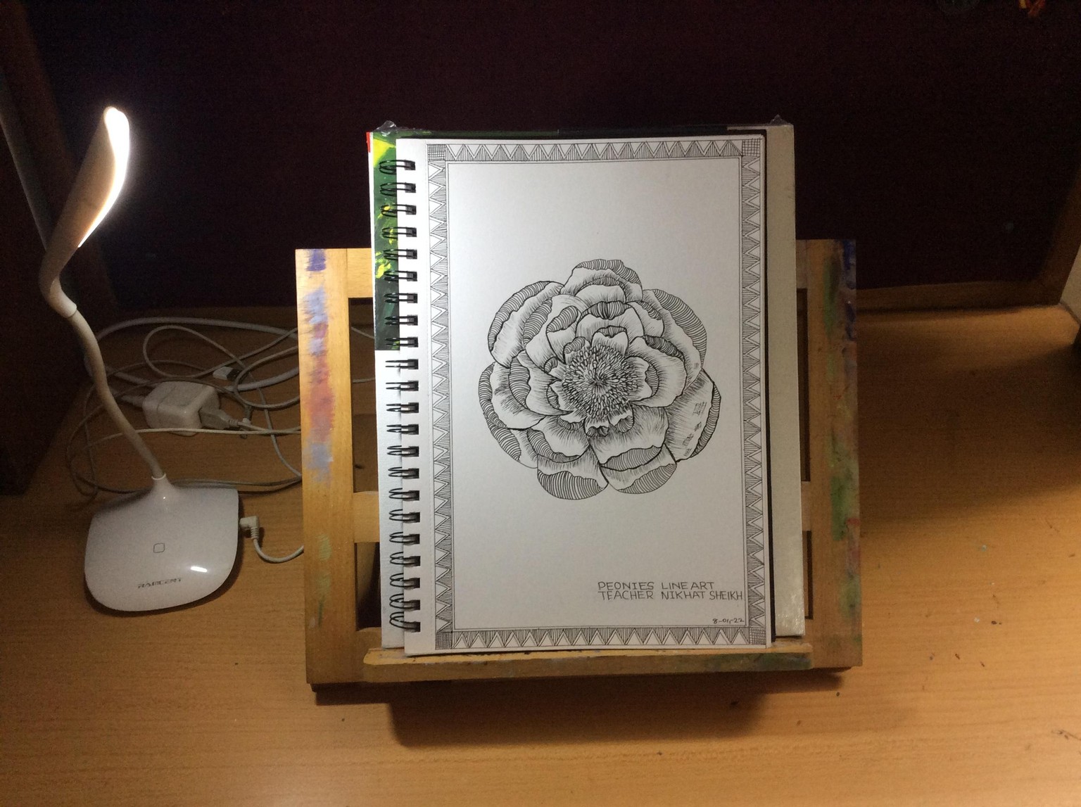 Learn to Draw & illustrate Peonies in complex Line Art technique - image 1 - student project