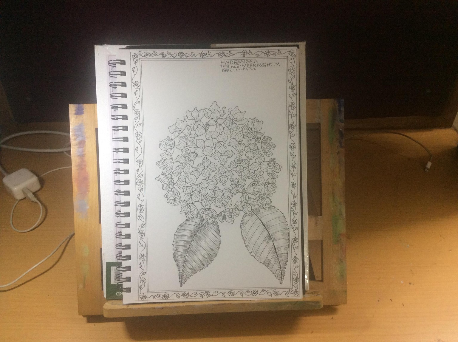 Learn to Draw Flowers from Scratch: Hydrangea + Poppy - image 1 - student project