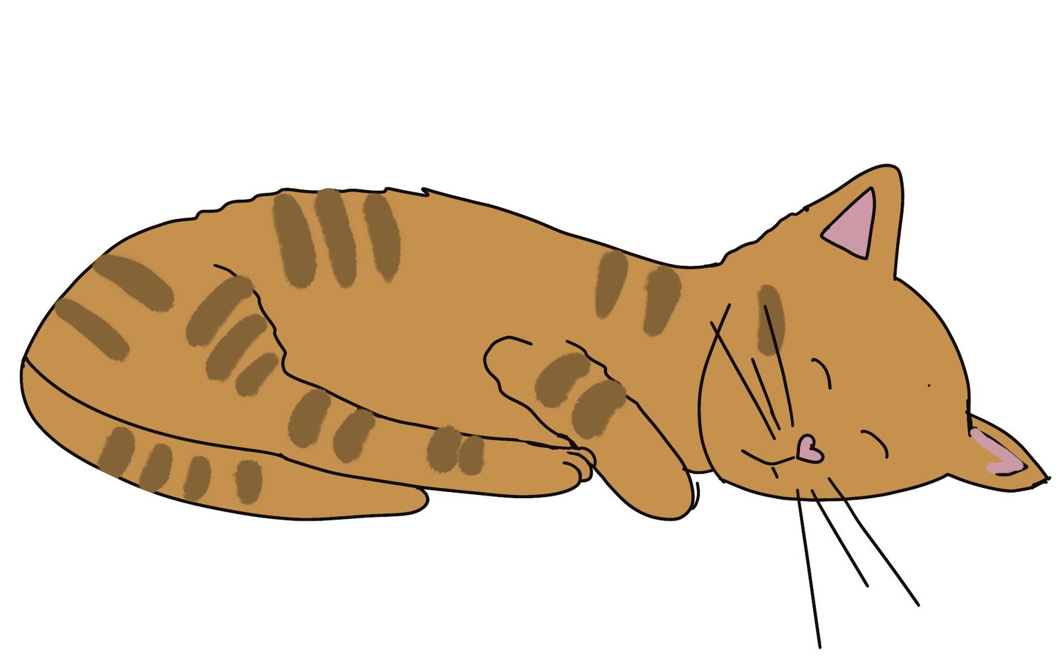 Sleeping kitten - image 1 - student project