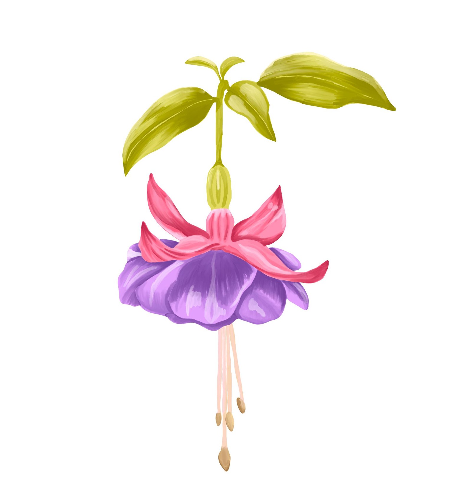 Flowers - image 8 - student project