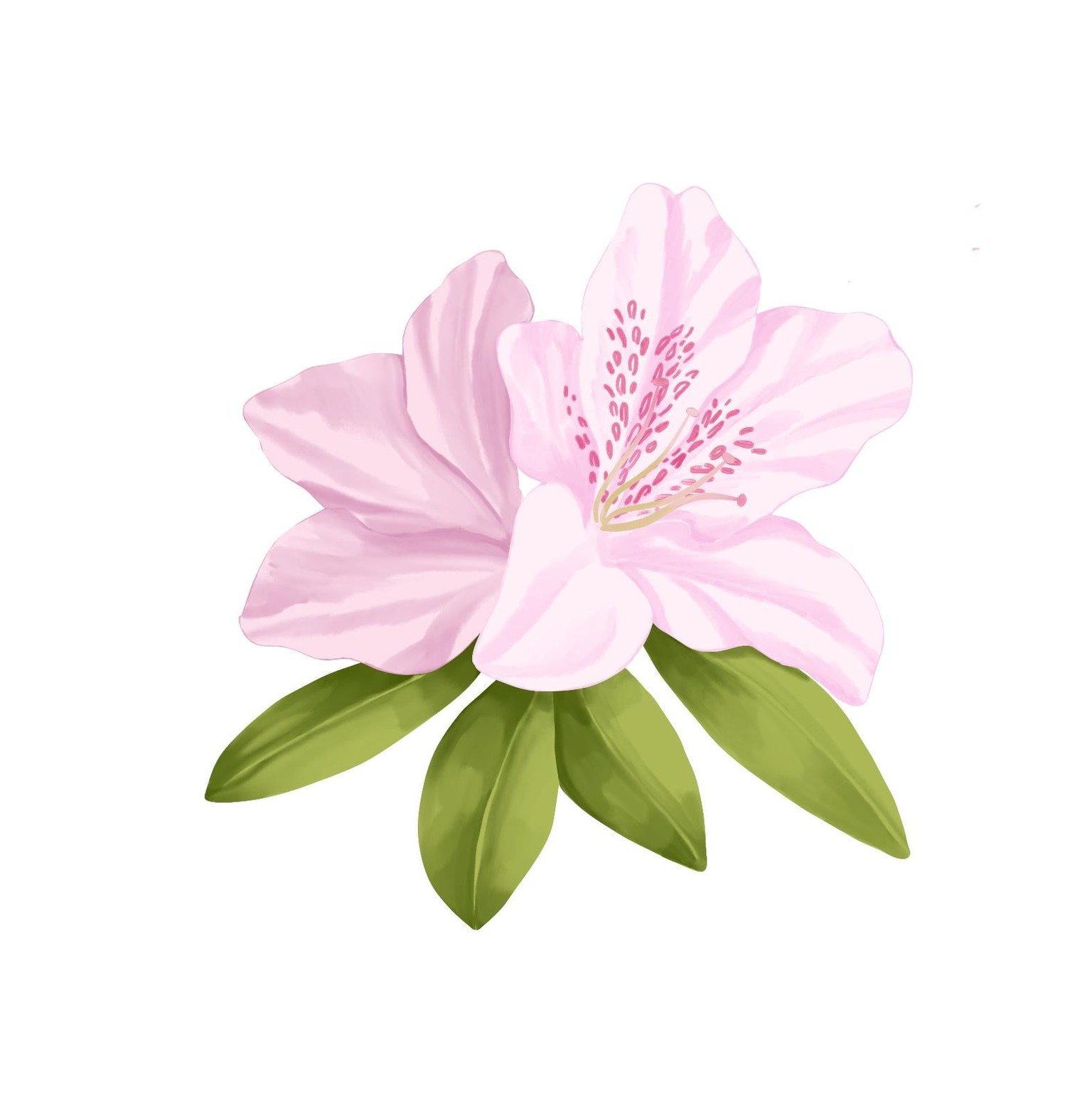 Flowers - image 2 - student project