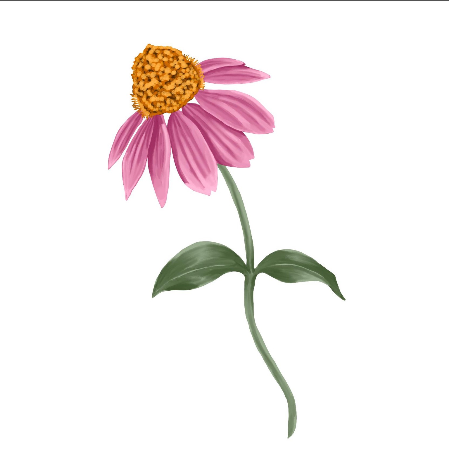 Flowers - image 1 - student project