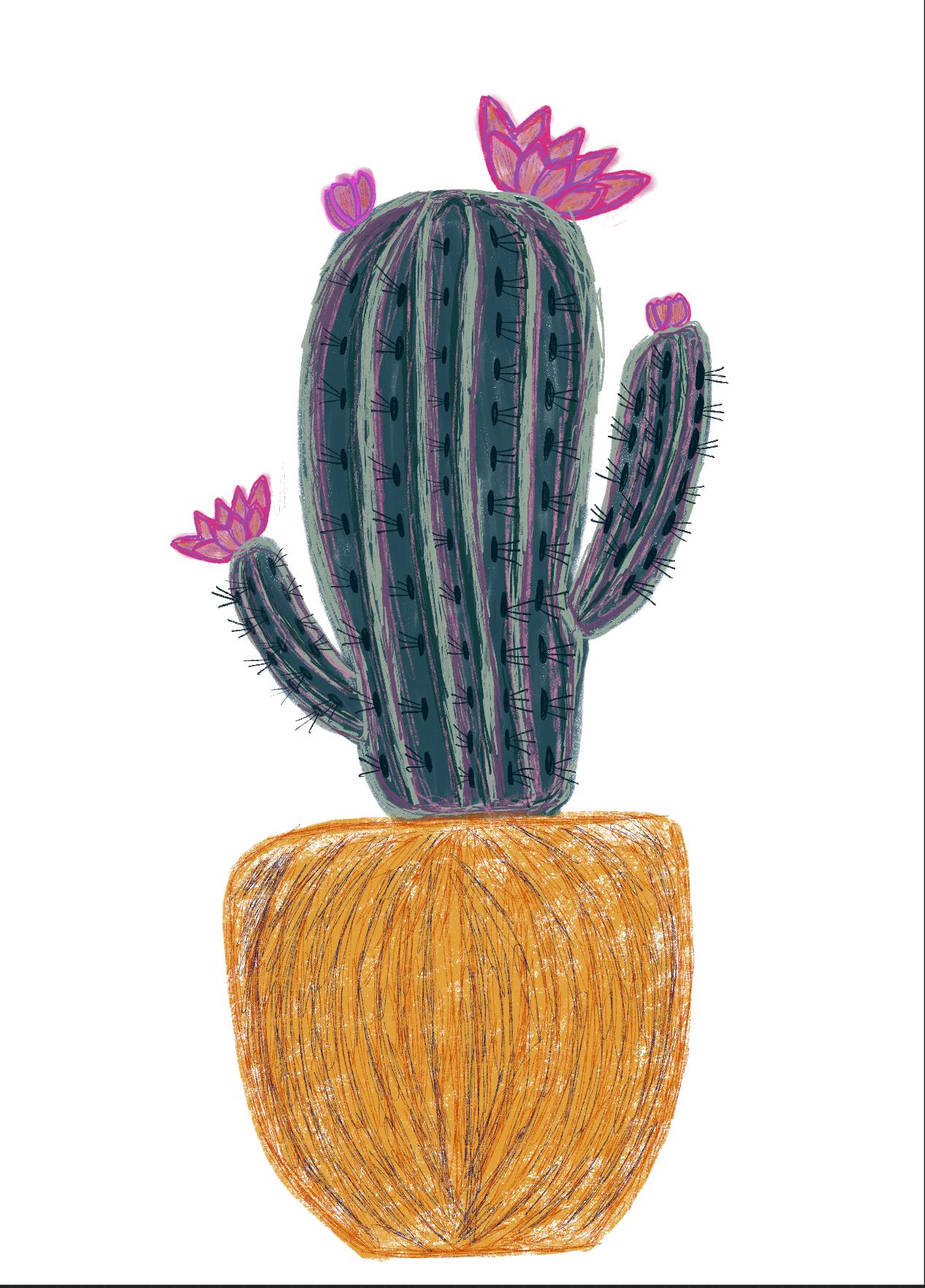 Scratch Cactus - image 1 - student project