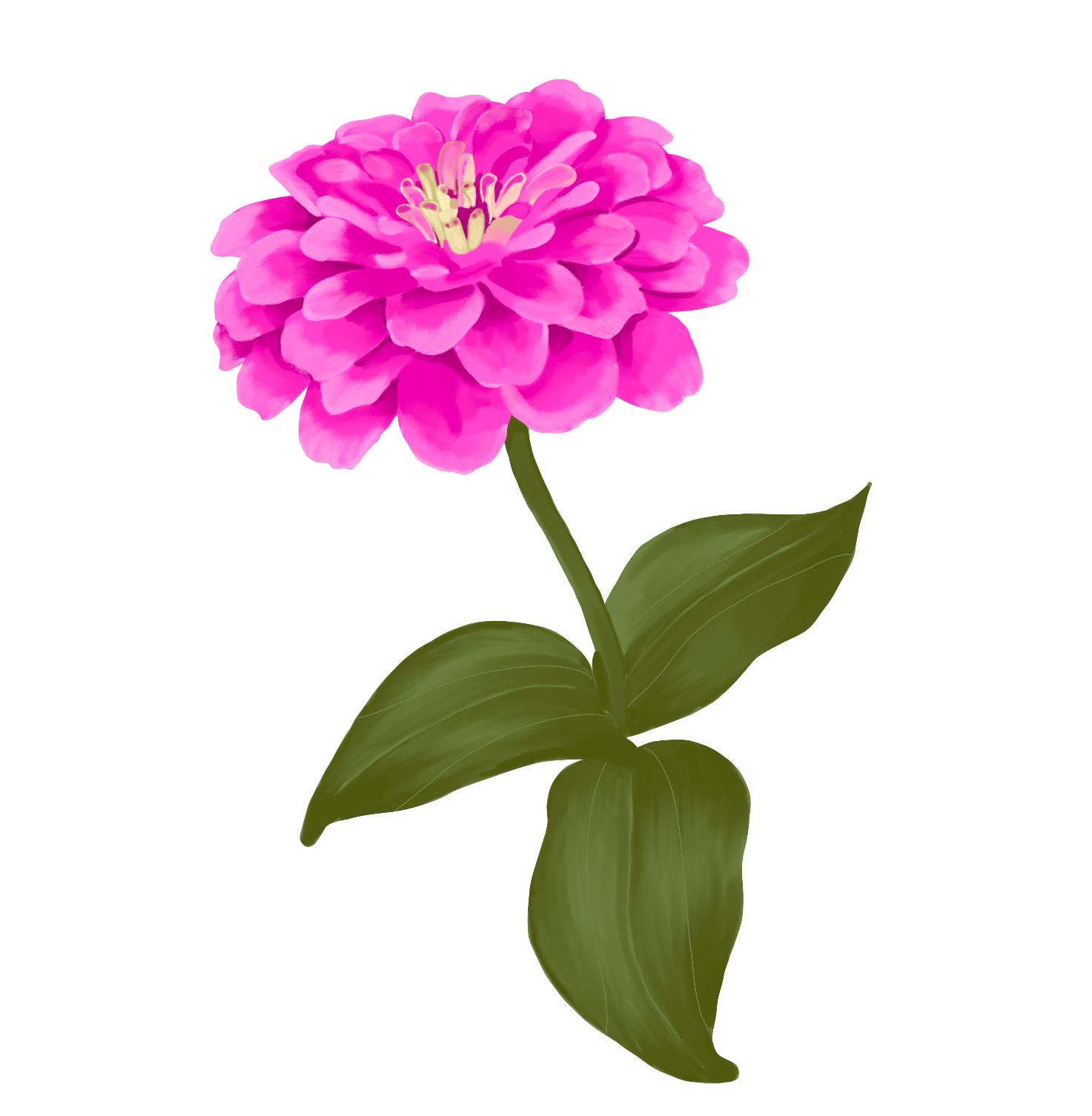 Flowers - image 7 - student project