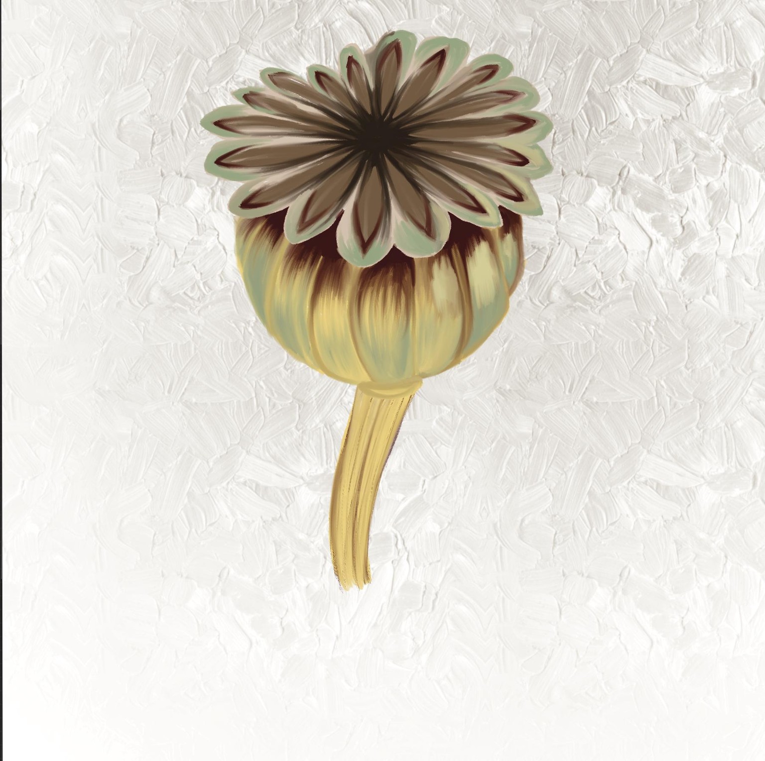 Seed pod - image 1 - student project
