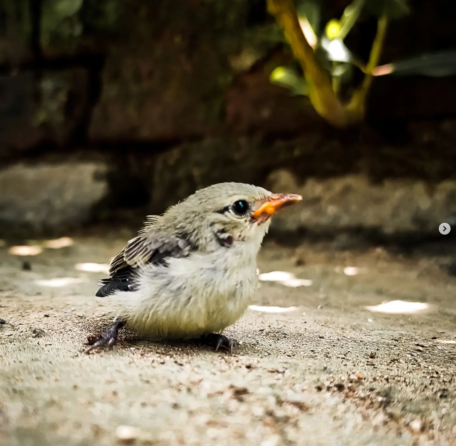 Photograohy - image 1 - student project