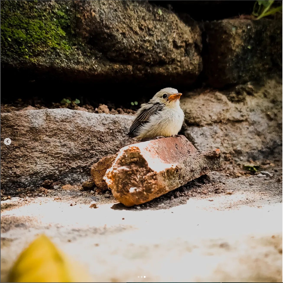 Photograohy - image 2 - student project
