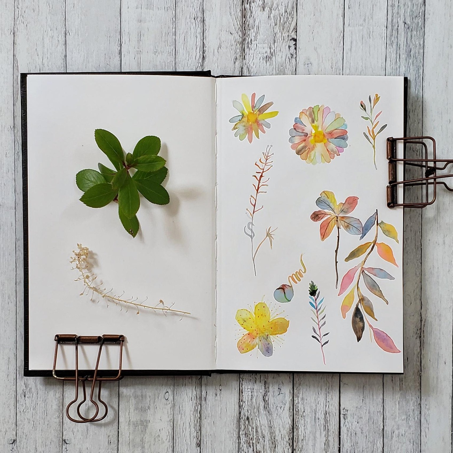 My lessons for Stylizing your Watercolors Subhashini Narayanan - image 1 - student project