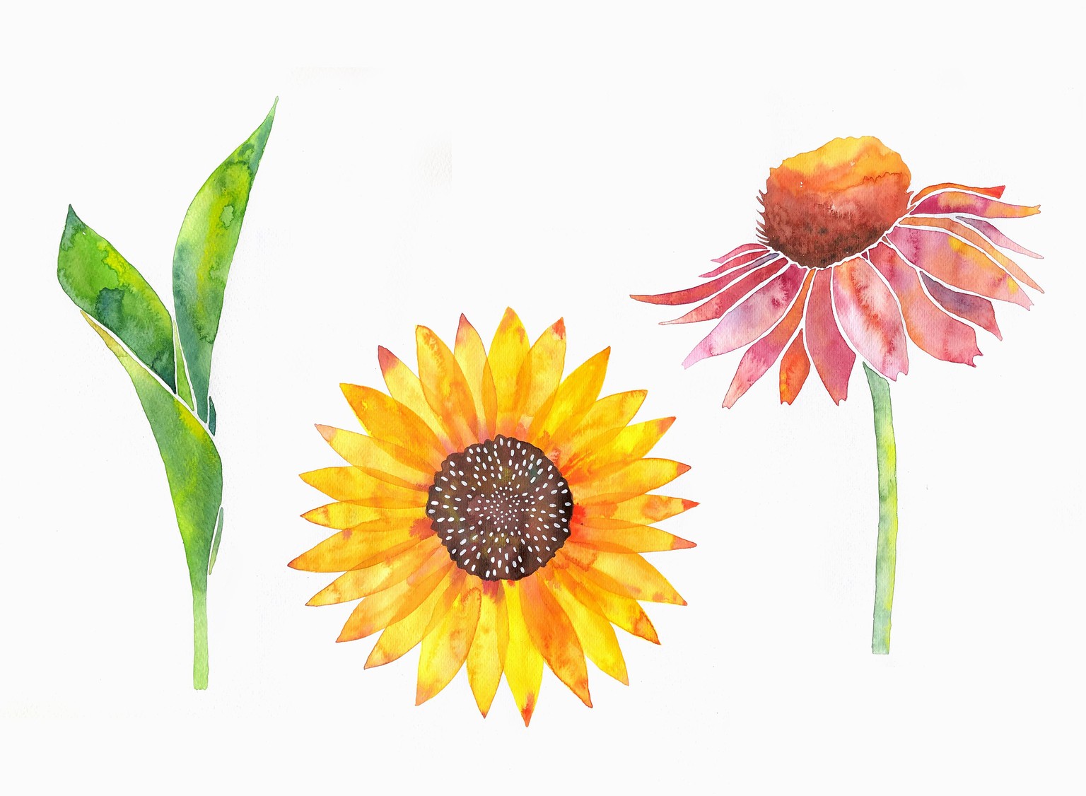 I got addicted to watercolor - image 9 - student project