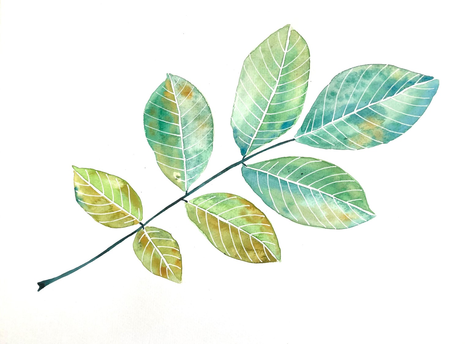 I got addicted to watercolor - image 2 - student project
