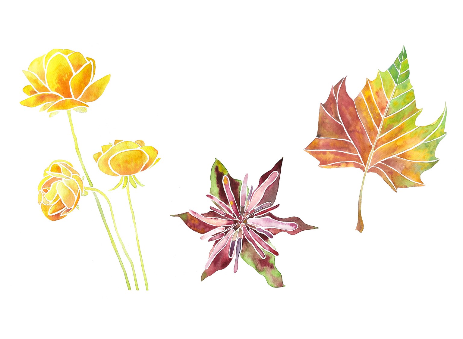 I got addicted to watercolor - image 5 - student project