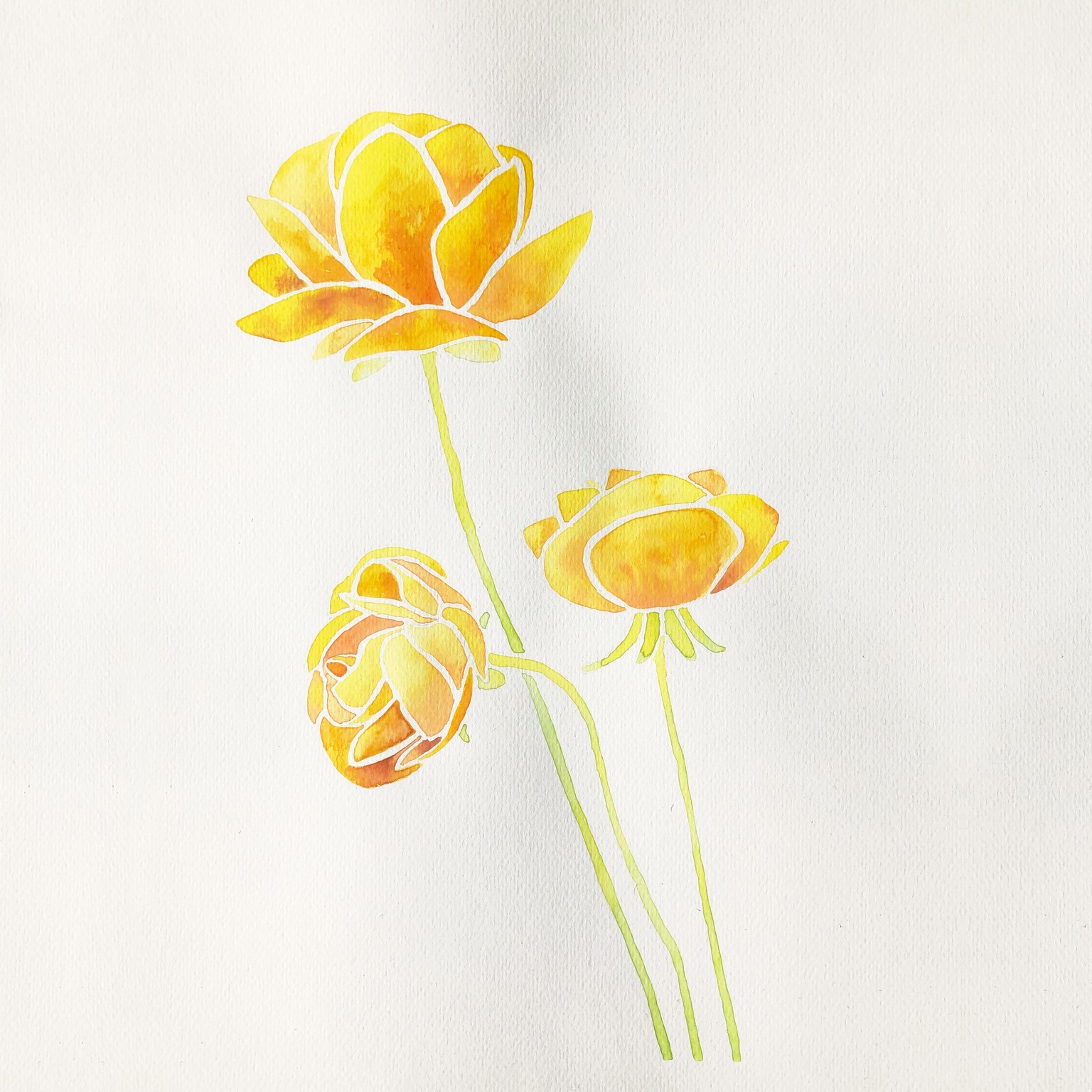 I got addicted to watercolor - image 8 - student project