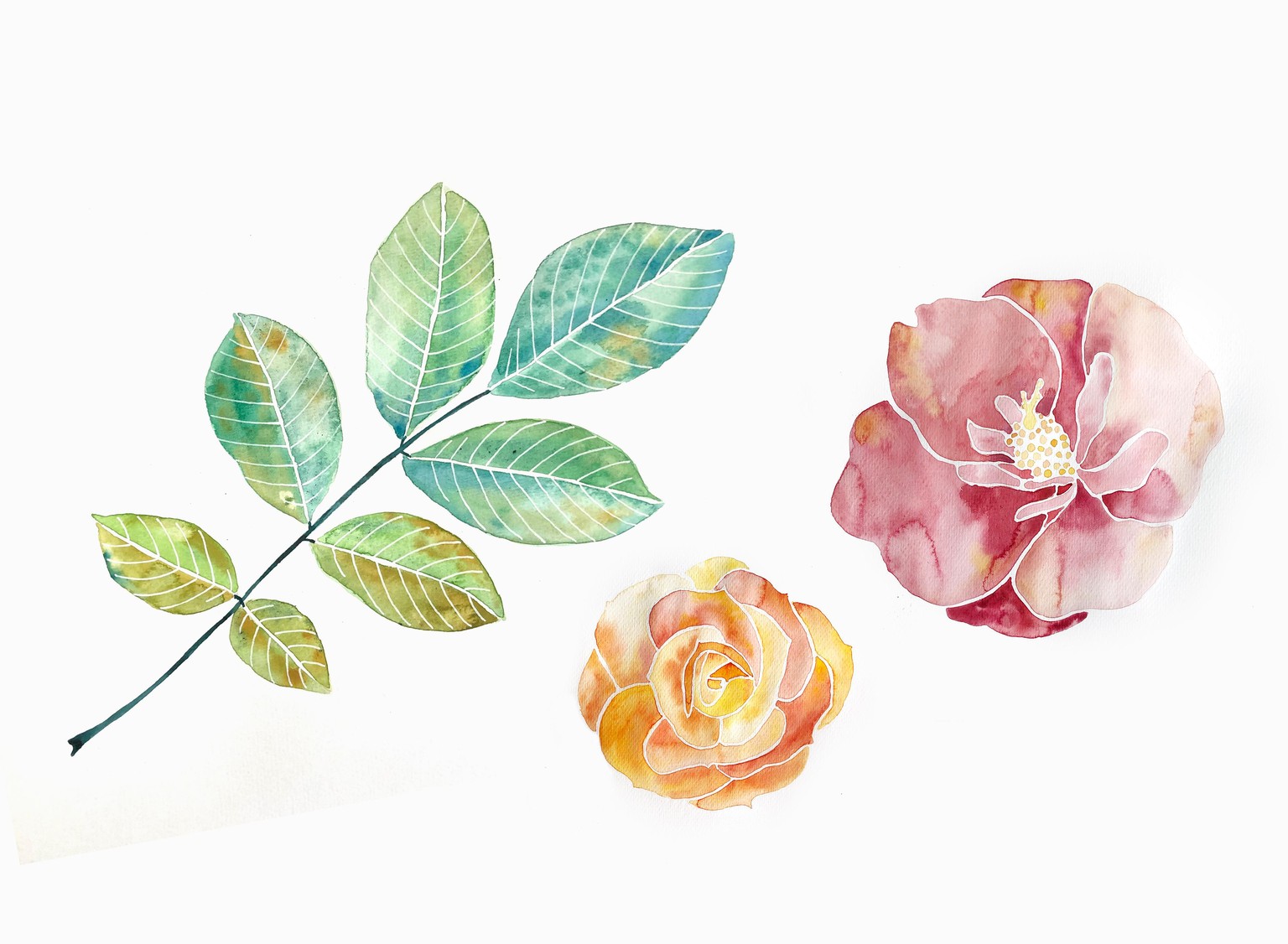 I got addicted to watercolor - image 1 - student project
