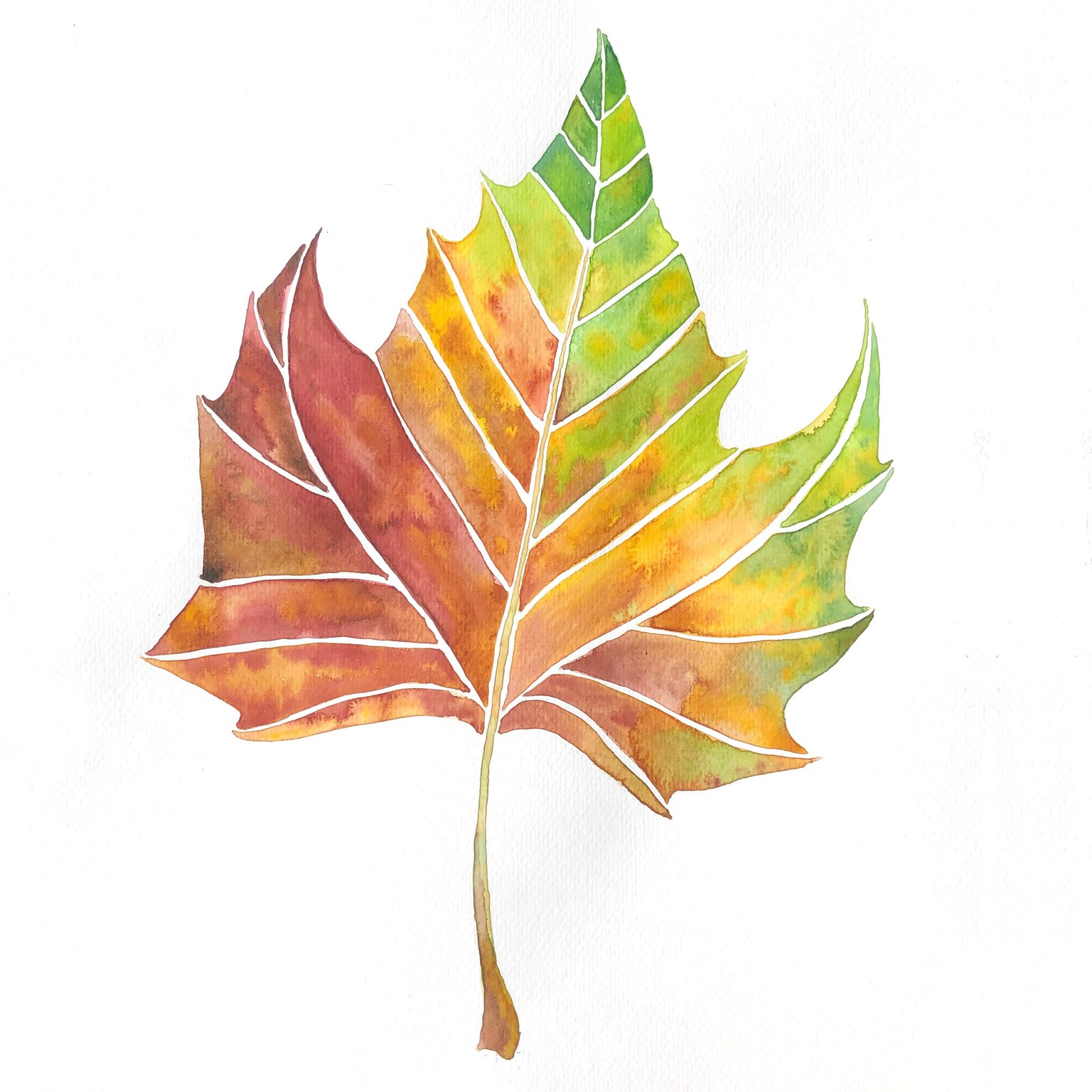I got addicted to watercolor - image 6 - student project