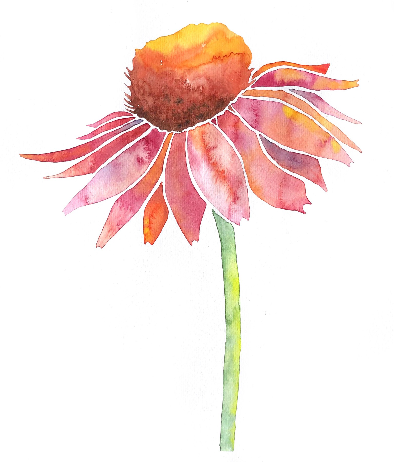I got addicted to watercolor - image 11 - student project
