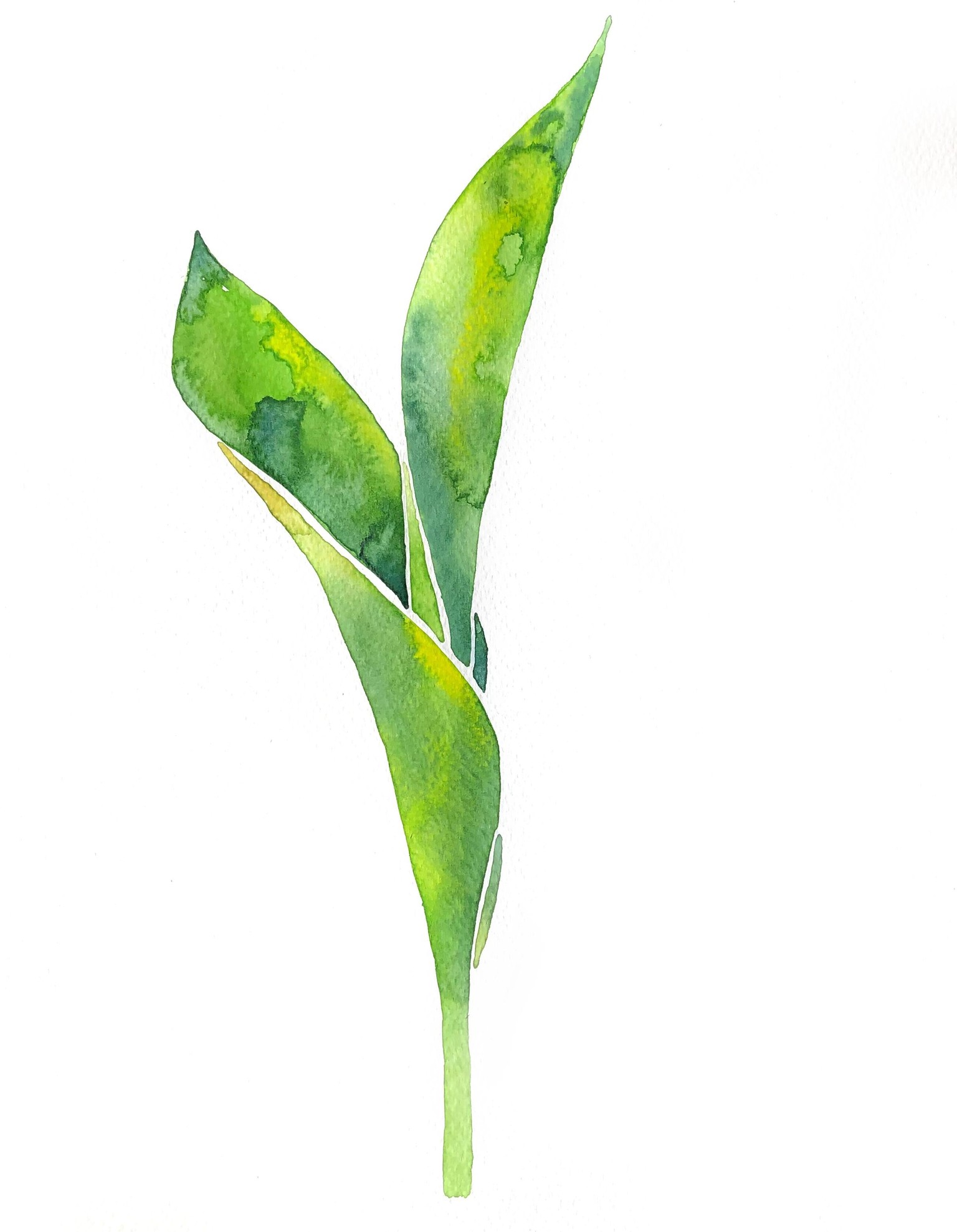 I got addicted to watercolor - image 12 - student project