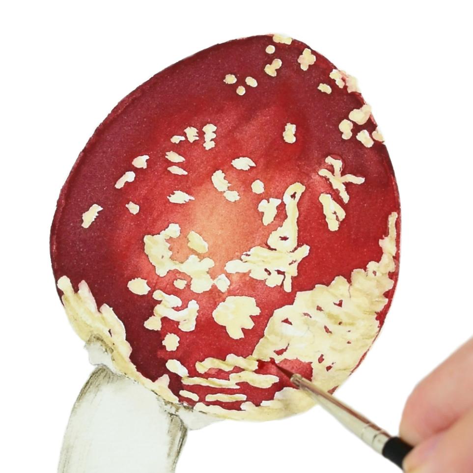 Red Mushroom - image 1 - student project