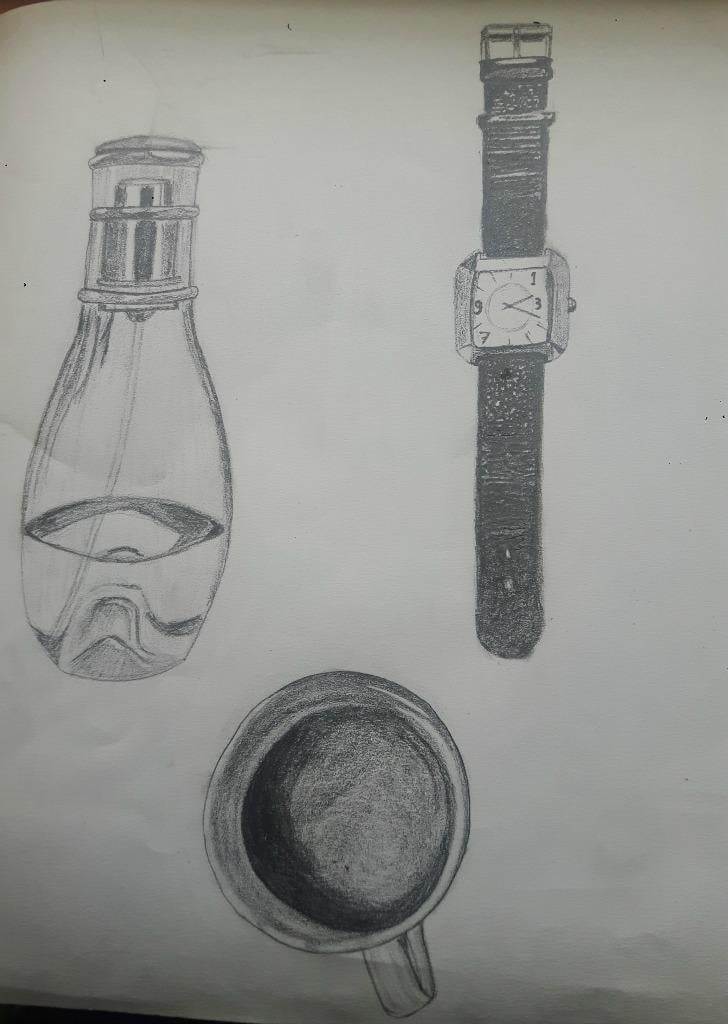 My 30 days drawing challenge  COMPLETED :) - image 7 - student project