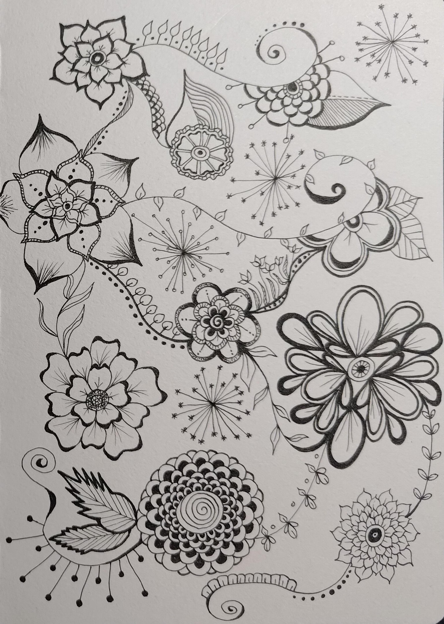 Floral doodles - image 1 - student project