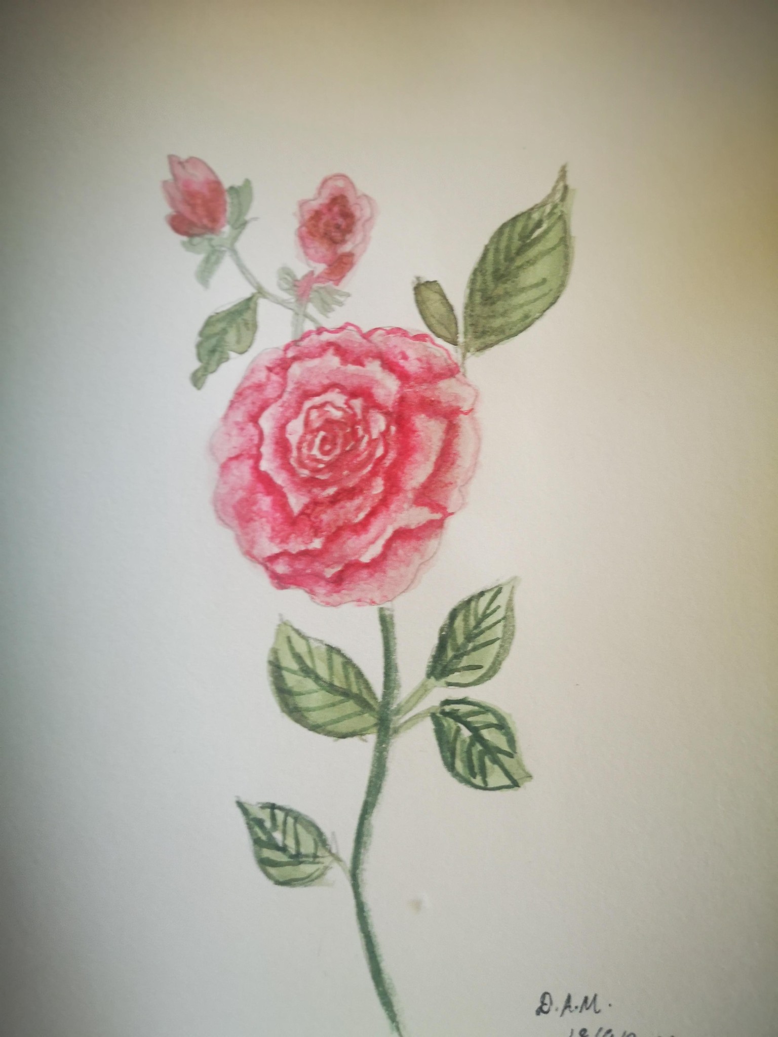 Roses - image 1 - student project