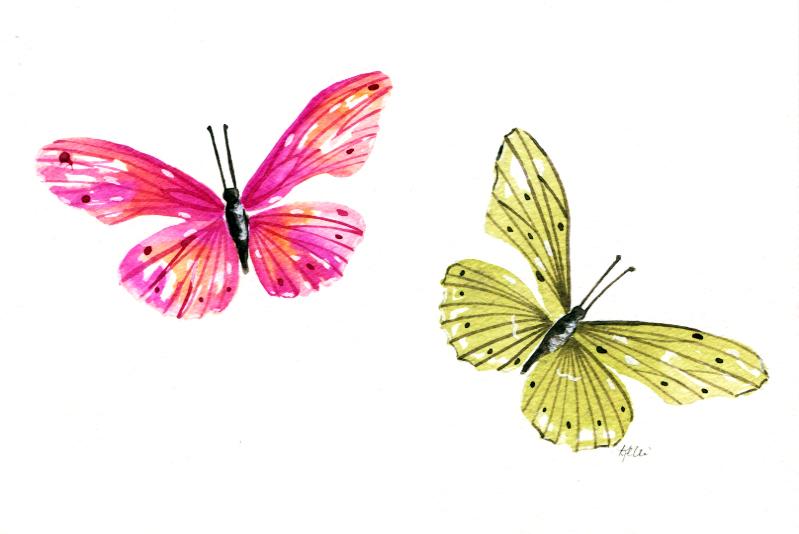 Butterflies - image 2 - student project