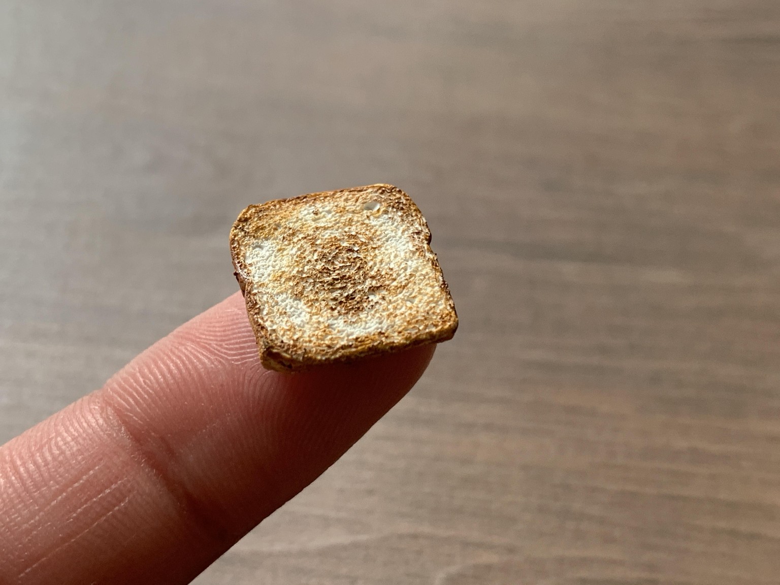 Polymer Clay Toast - image 1 - student project