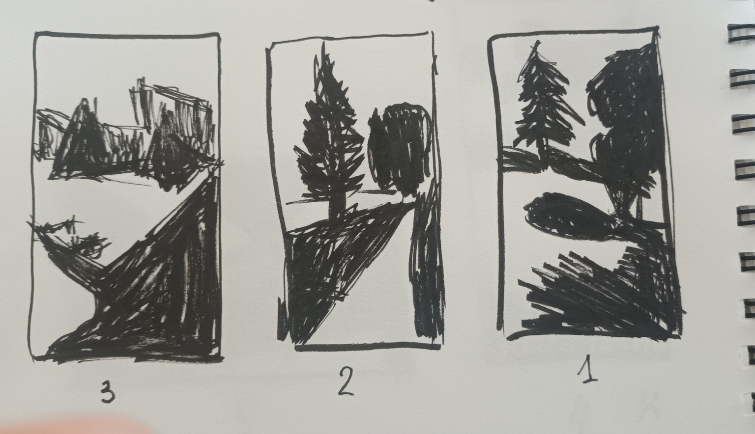 Notan practice (and a quick gouache sketch based on a notan) - image 1 - student project