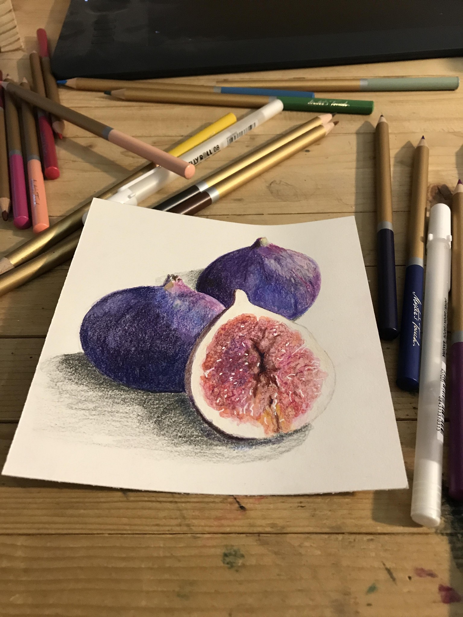 Figs Mixed Media - image 1 - student project