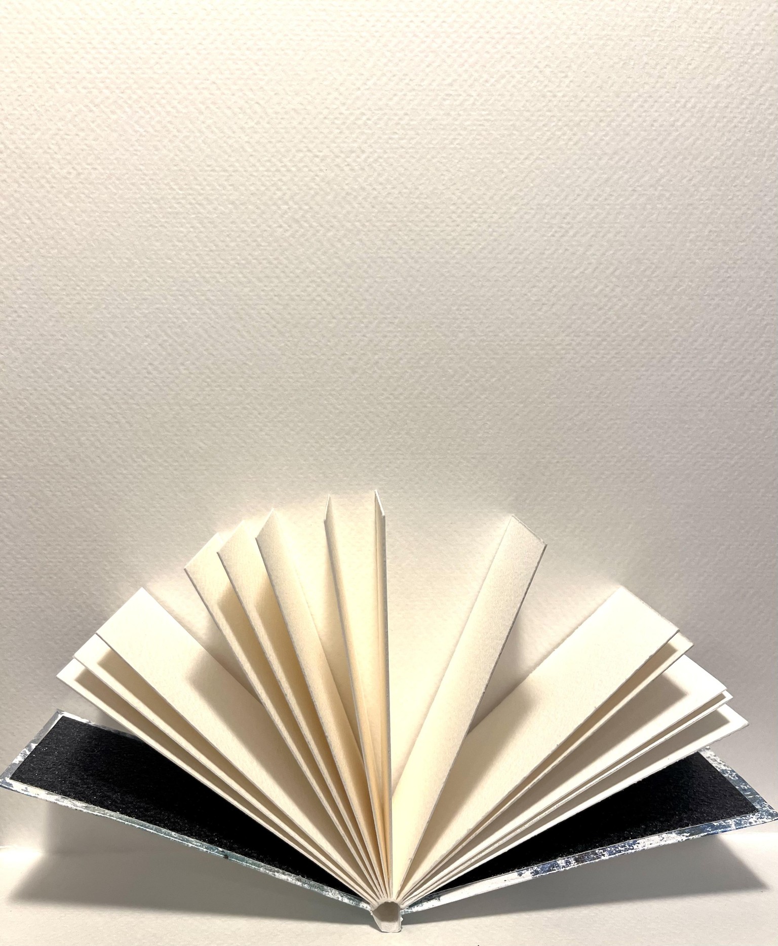 tiny artists books - image 5 - student project