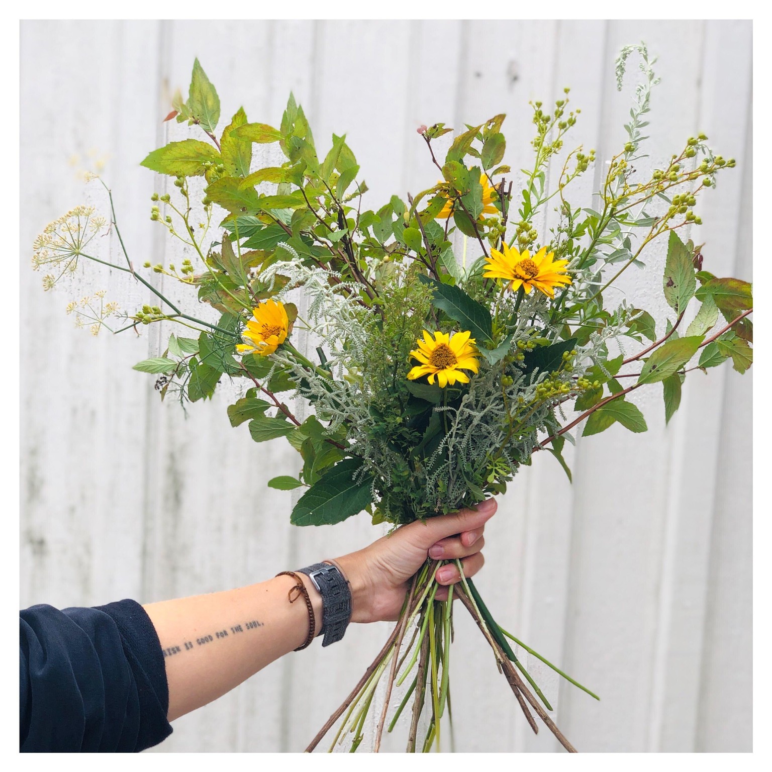 Flowers found in my garden! - image 1 - student project