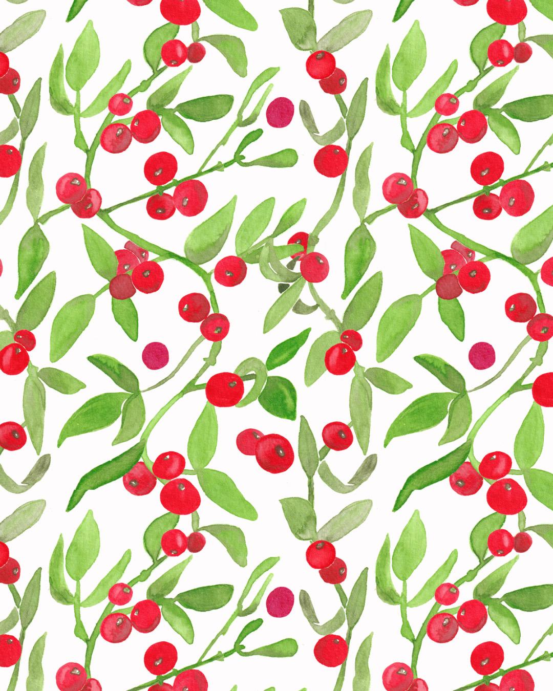 Mistelzweig mit Beeren - image 3 - student project
