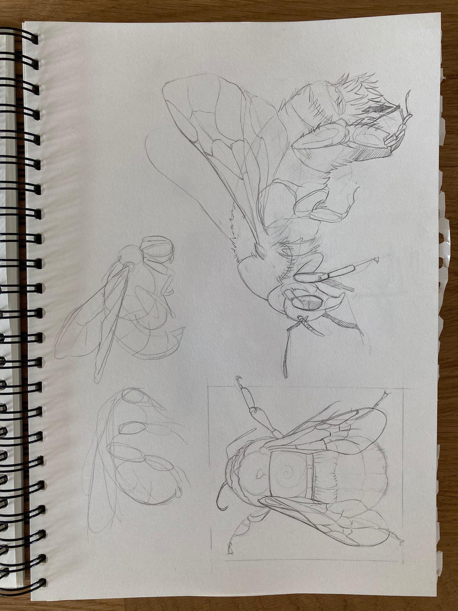 Doin the sketches - image 7 - student project