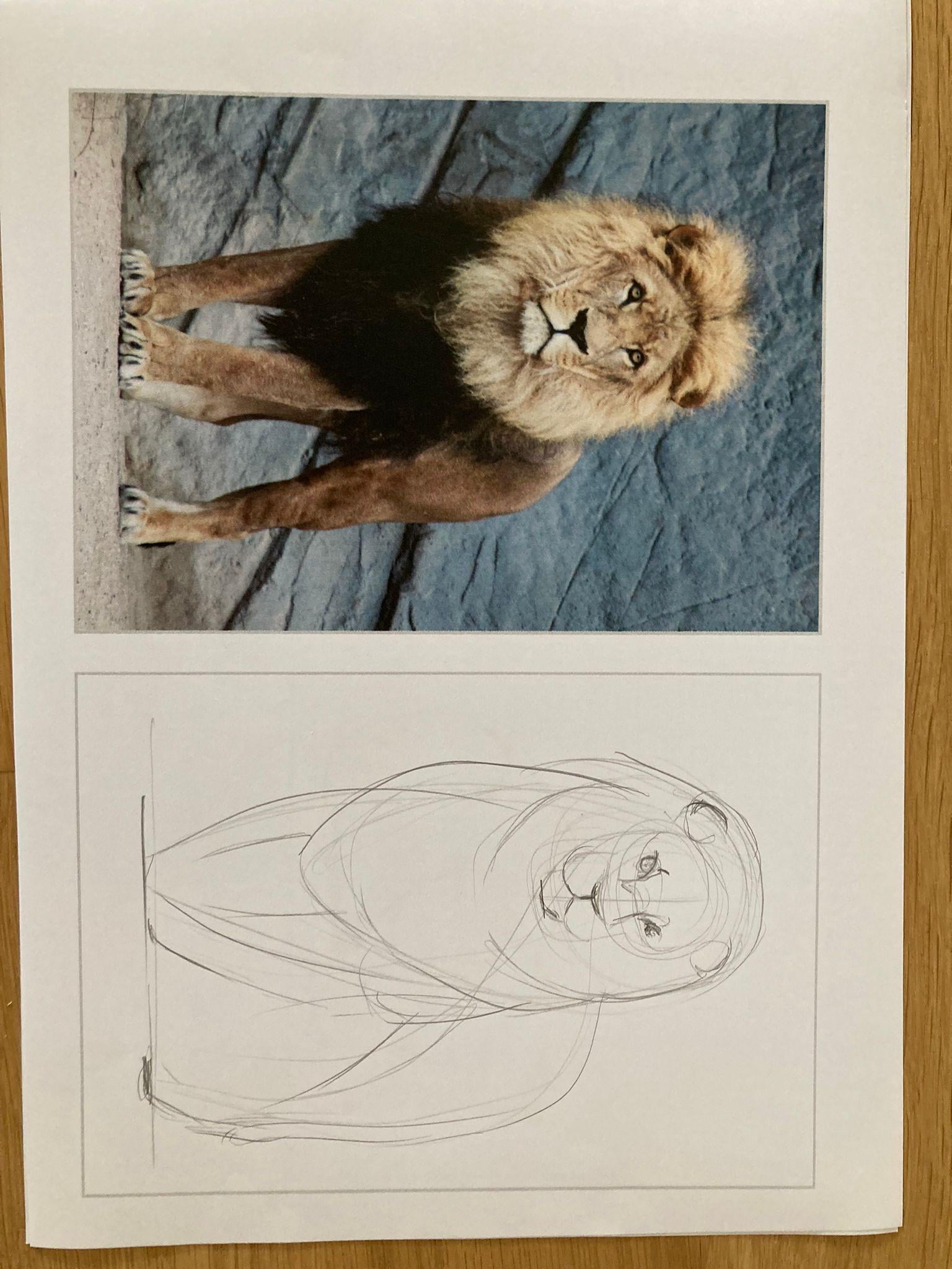 Doin the sketches - image 2 - student project
