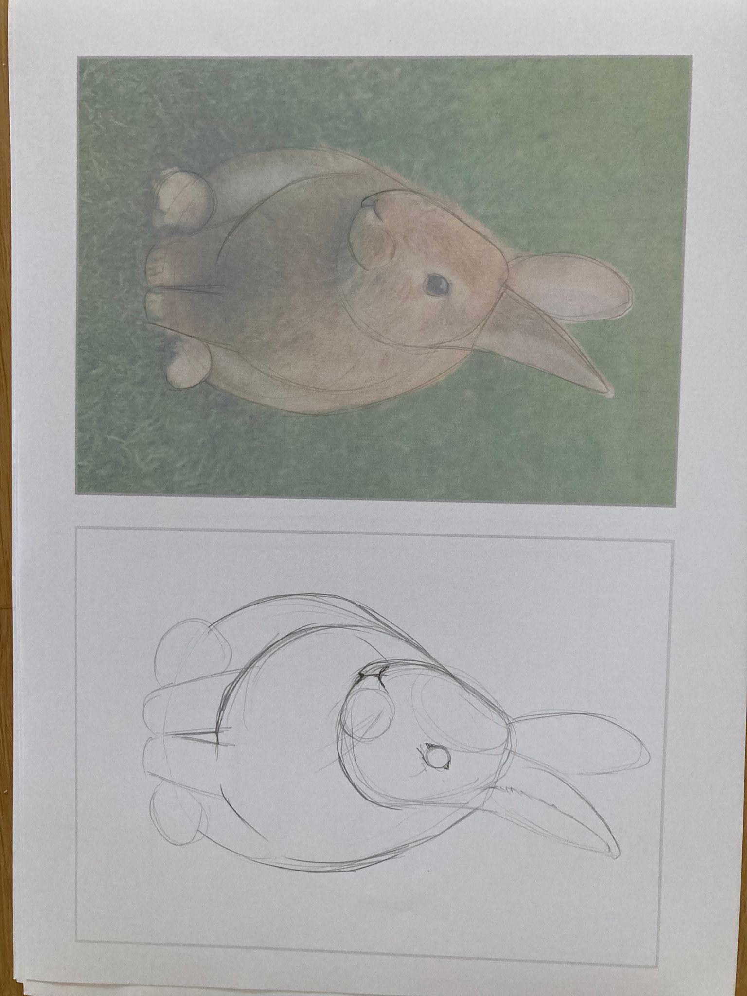 Doin the sketches - image 1 - student project