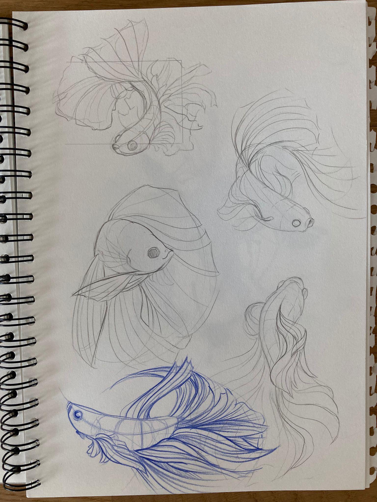 Doin the sketches - image 6 - student project