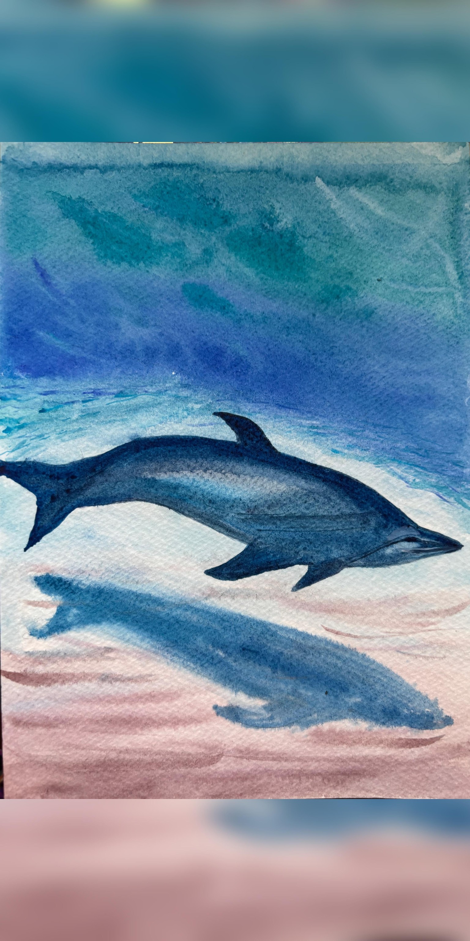 Watercolor ocean dolphin - image 1 - student project
