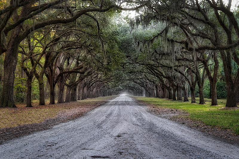 Wormsloe Plantation - image 1 - student project