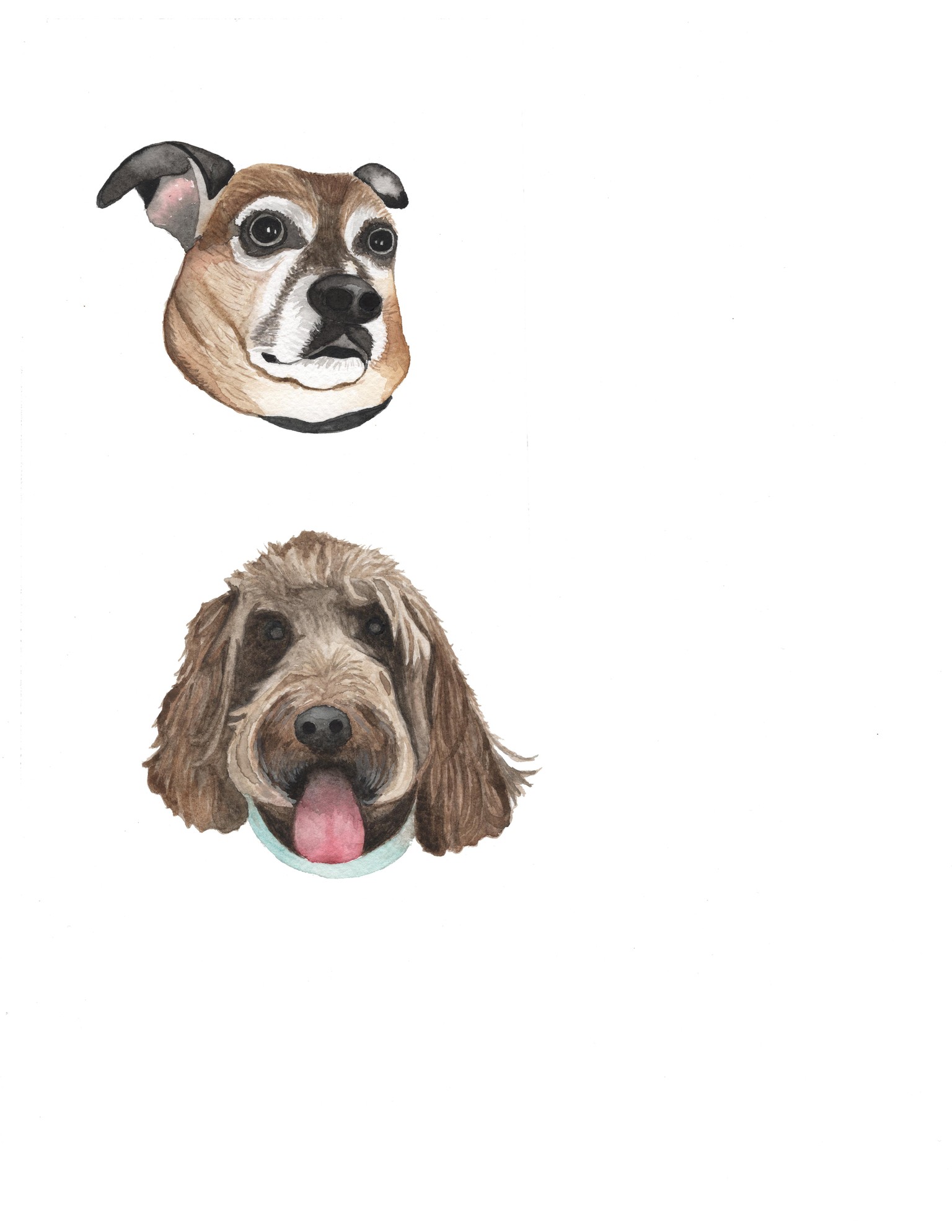 Pet Portraits - image 1 - student project