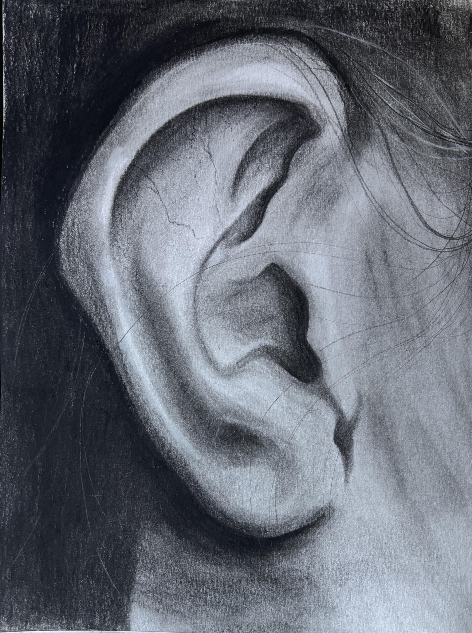 Eye and ear - image 1 - student project