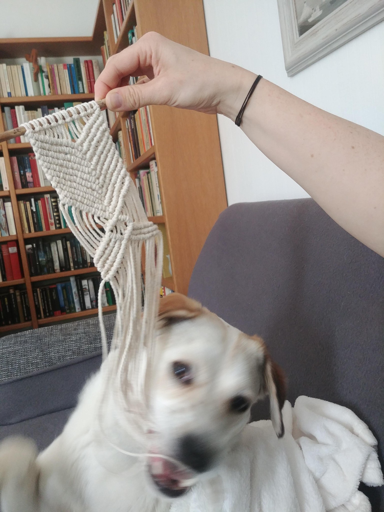Macrame Wall Hanging + Coasters - image 3 - student project