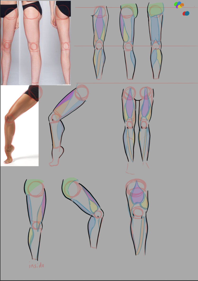 On going Anatomy Practice - image 3 - student project