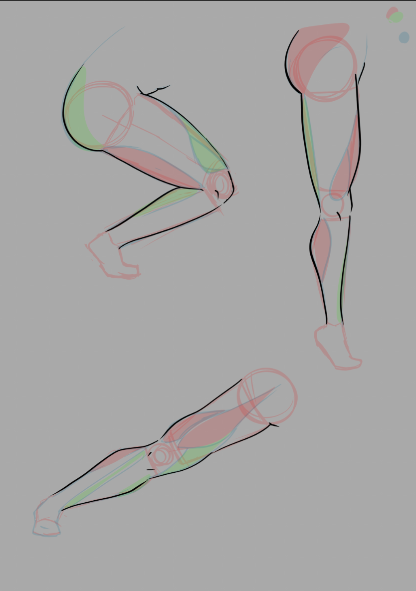 On going Anatomy Practice - image 4 - student project