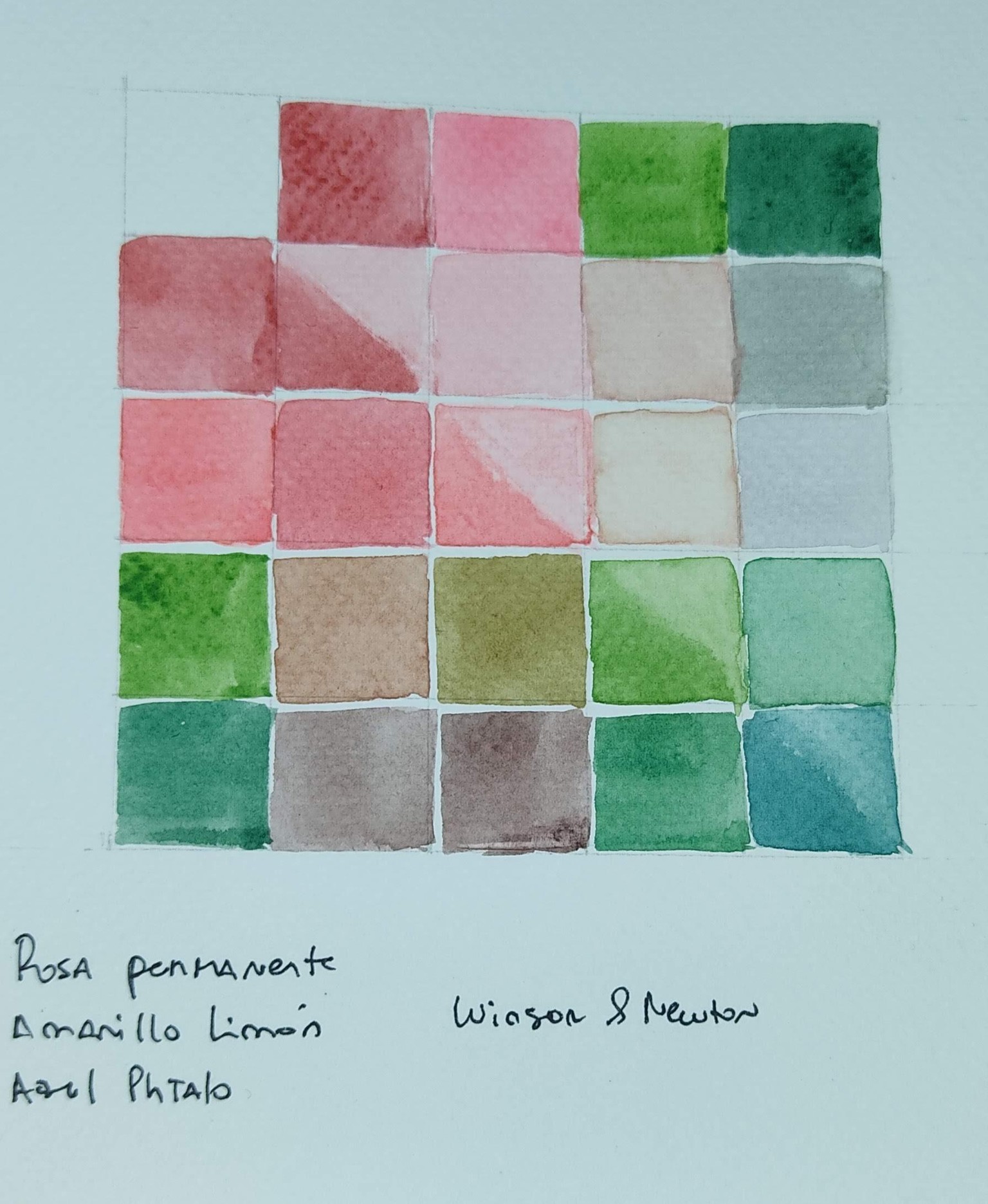 Acuarela - Estudio de color con flores. - image 3 - student project