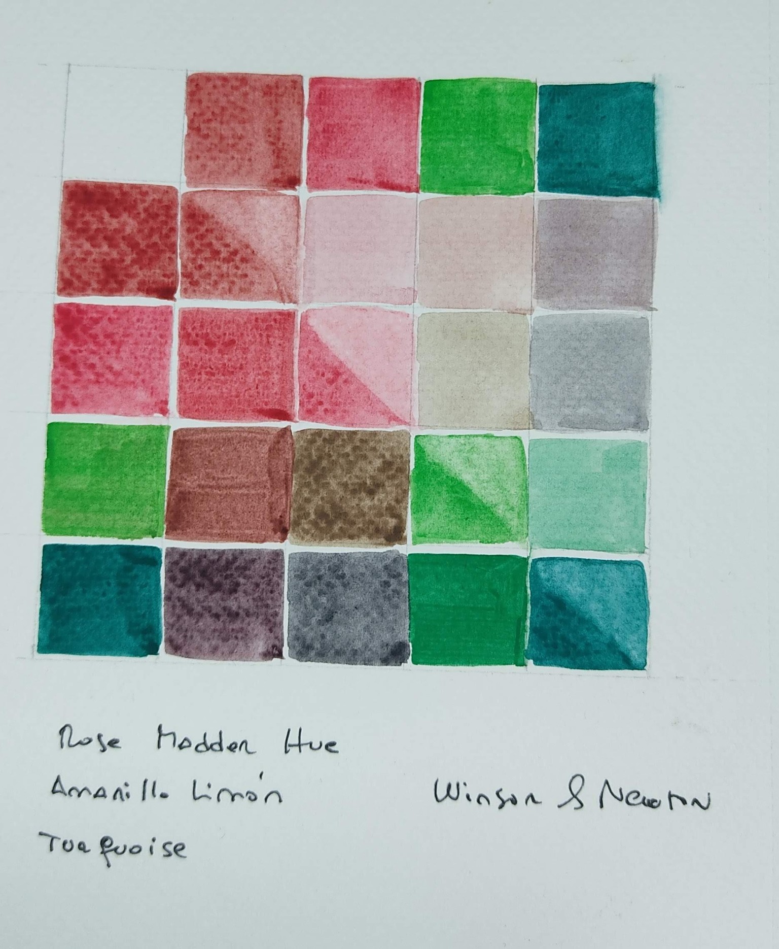 Acuarela - Estudio de color con flores. - image 4 - student project