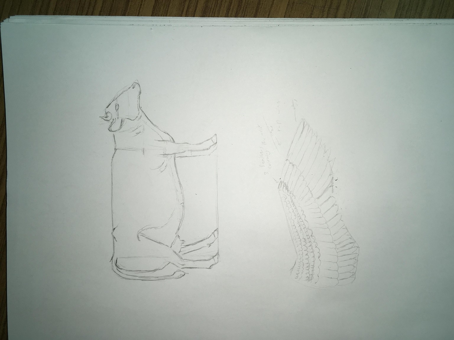 Cow And Feather Wing - image 1 - student project