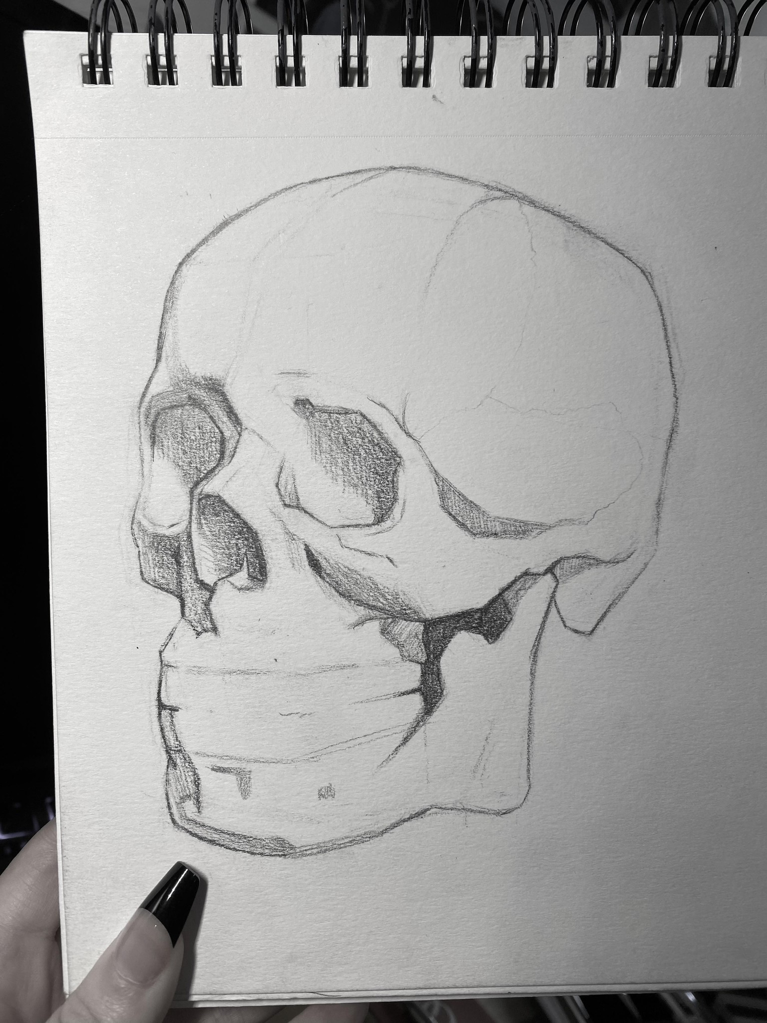 Skull Planes - image 1 - student project