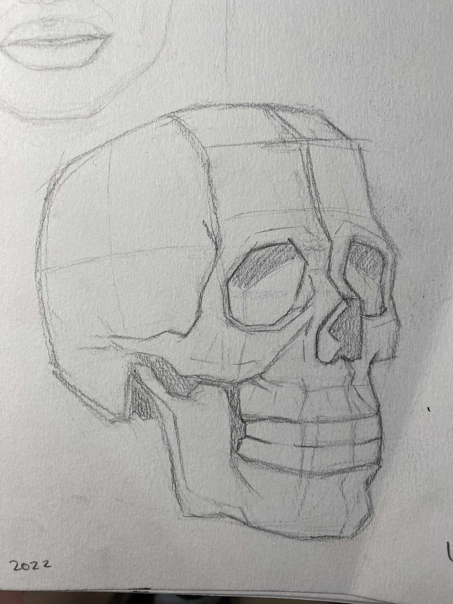 Skull Planes - image 2 - student project