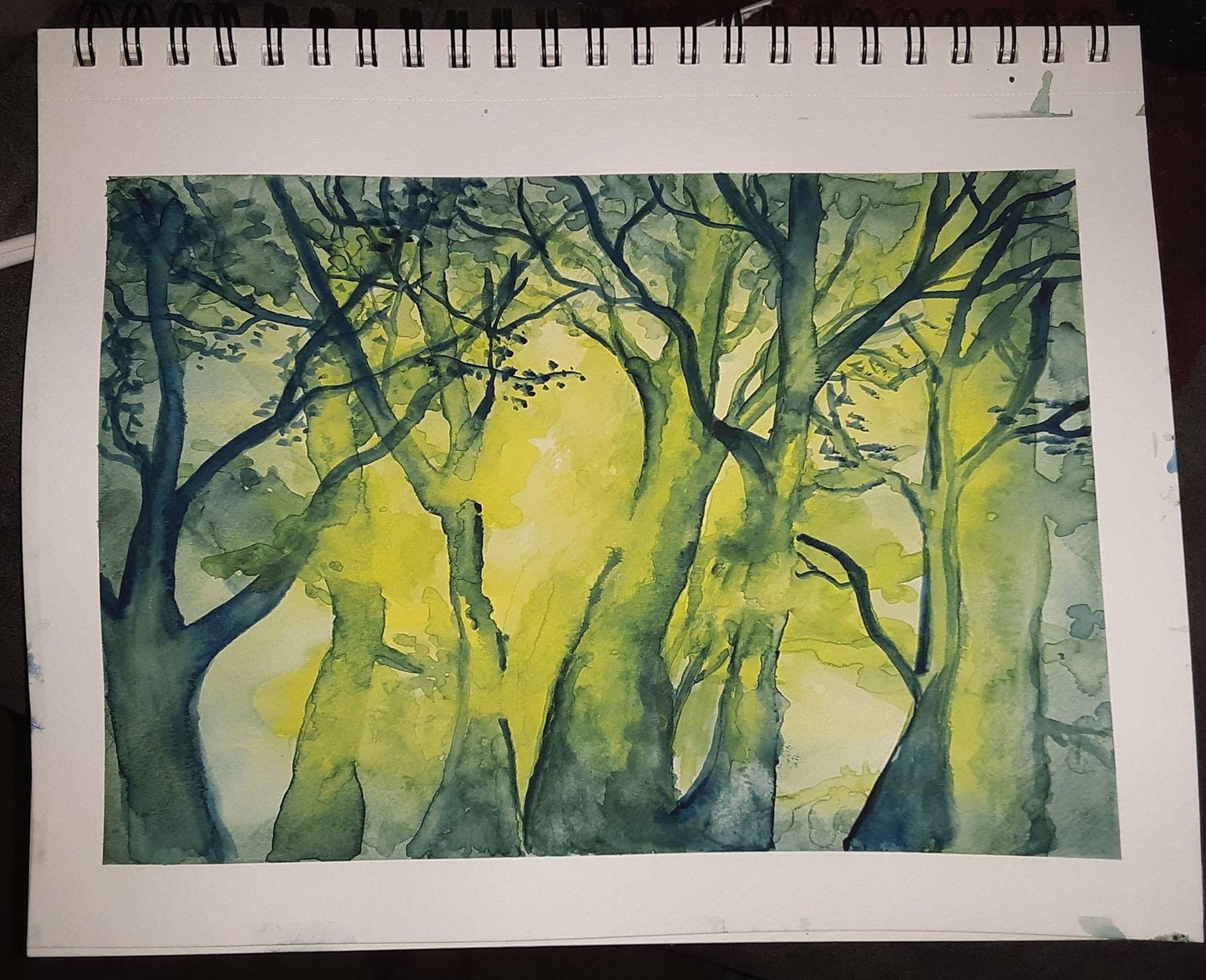 Watercolor Forest Scene with Depth & Light - image 1 - student project